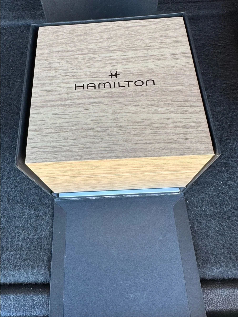 Hamilton close up